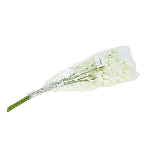 Produkt Sztuczny krem storczykowy 50cm 6szt