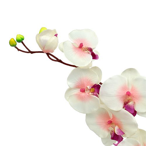Floristik24 Storczyk z 2 gałązkami 60cm Biało-różowy
