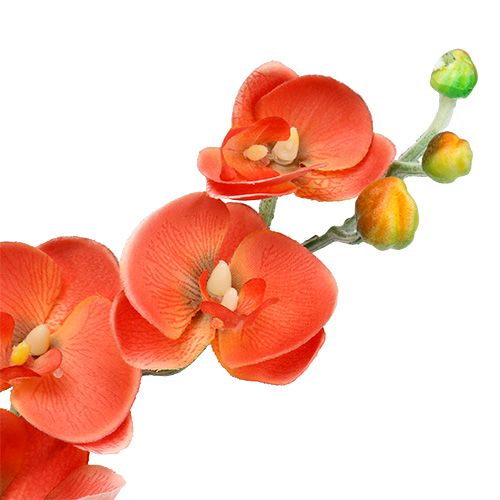 Floristik24 Orchidea dwie gałązki 60cm pomarańczowa