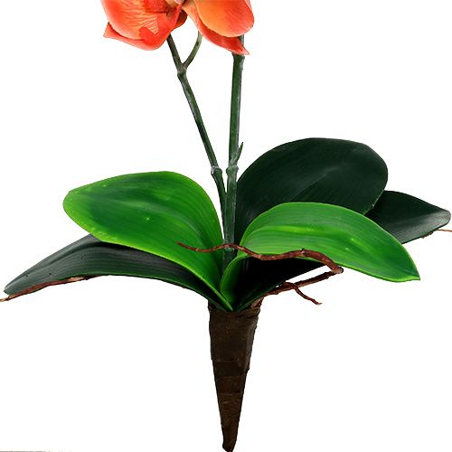 Floristik24 Orchidea dwie gałązki 60cm pomarańczowa