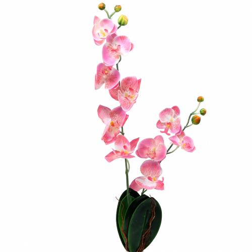 Floristik24 Orchid Phalaenopsis Sztuczny Różowy 60cm
