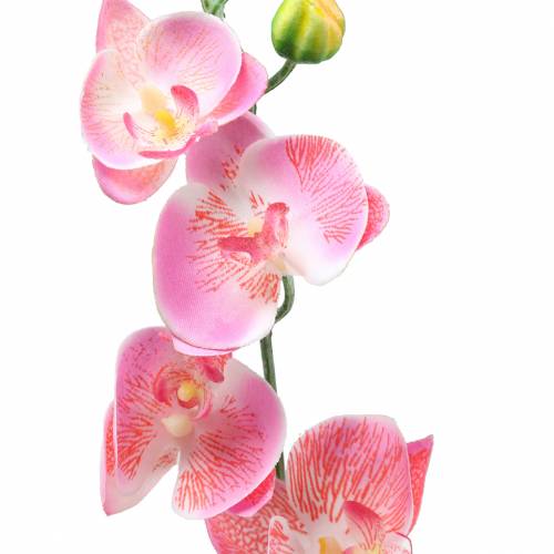 Produkt Orchid Phalaenopsis Sztuczny Różowy 60cm