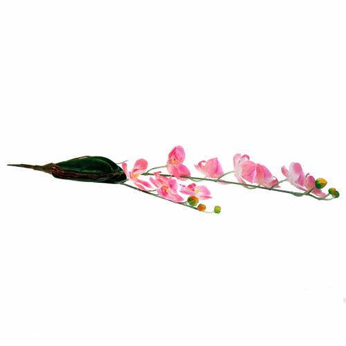 Floristik24 Orchid Phalaenopsis Sztuczny Różowy 60cm
