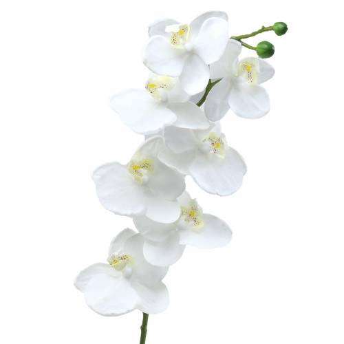 Produkt Sztuczny storczyk sztuczny kwiat biały Ø6,5-8cm 77cm