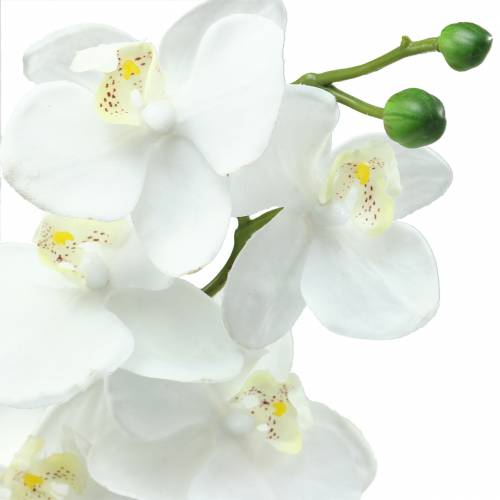 Produkt Sztuczny storczyk sztuczny kwiat biały Ø6,5-8cm 77cm