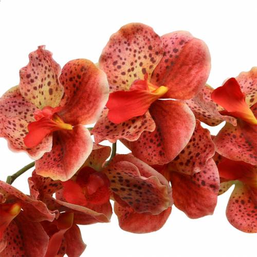 Produkt Sztuczna orchidea Phaelaenopsis czerwona, pomarańczowa wys.81cm