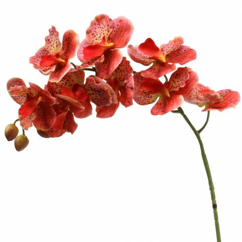 Floristik24 Sztuczna orchidea Phaelaenopsis czerwona, pomarańczowa wys.81cm