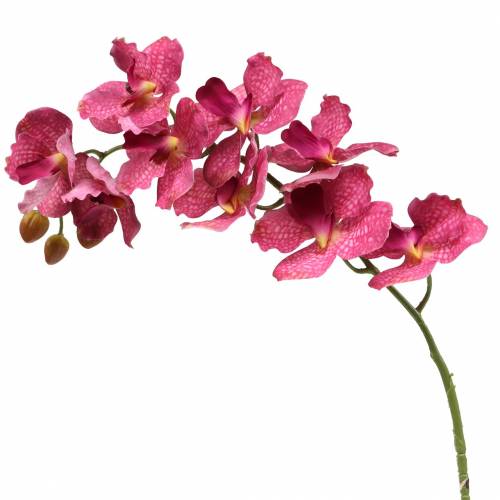 Floristik24 Sztuczna gałązka orchidei różowa H83cm
