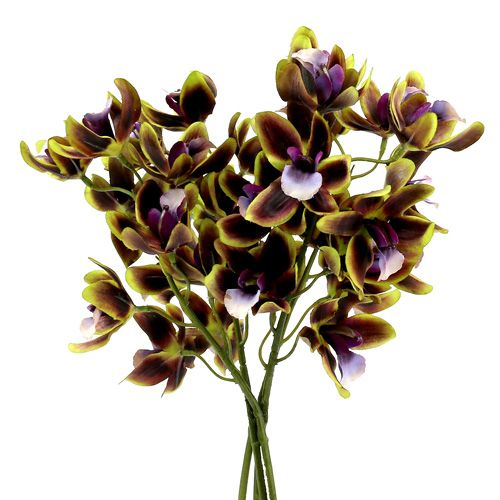 Floristik24 Storczyk Cymbidium Zielony, Fioletowy L38cm 4szt.