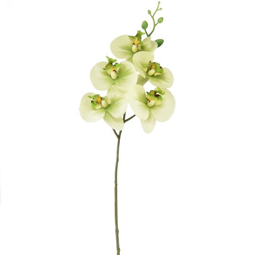 Floristik24 Storczyk sztuczny żółty zielony Phalaenopsis 85cm
