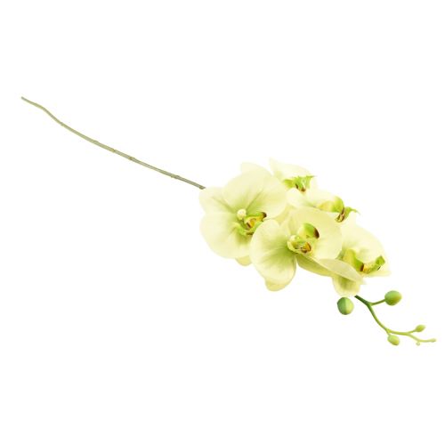 Produkt Storczyk sztuczny żółty zielony Phalaenopsis 85cm