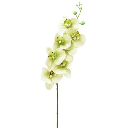 Sztuczna orchidea żółta zielona Phalaenopsis L83cm