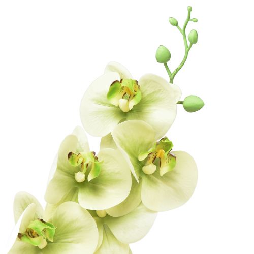 Produkt Sztuczna orchidea żółta zielona Phalaenopsis L83cm
