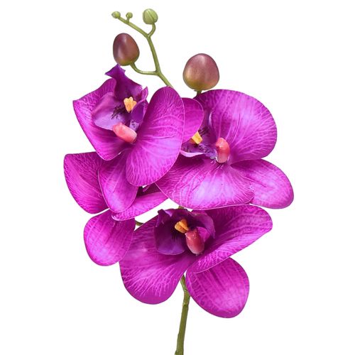 Floristik24 Storczyk Sztuczny Phalaenopsis 4 kwiaty Fuksja 72cm