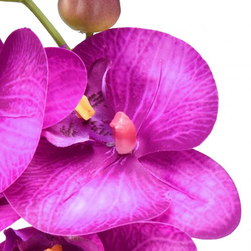 Produkt Storczyk Sztuczny Phalaenopsis 4 kwiaty Fuksja 72cm