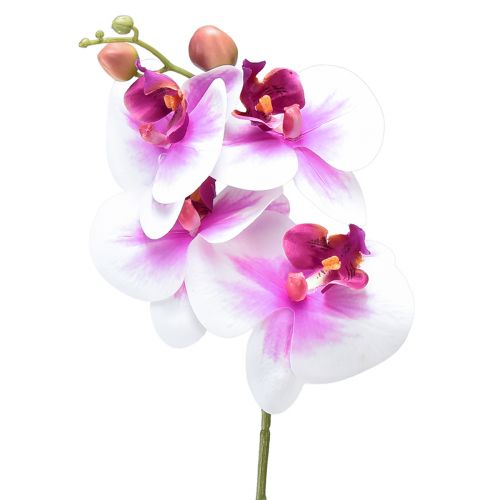 Orchidea Sztuczny Phalaenopsis 4 Kwiaty Biały Różowy 72cm