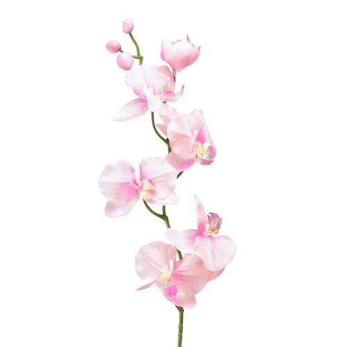 Floristik24 Storczyk Phalaenopsis sztuczny 6 kwiatów różowy 70cm