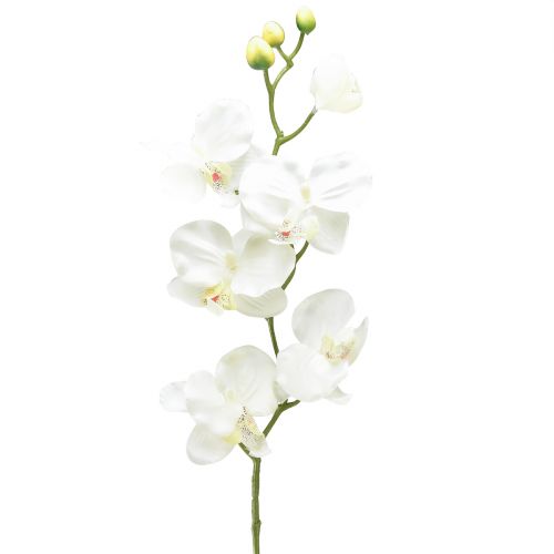Storczyk Phalaenopsis sztuczny 6 kwiatów biały kremowy 70cm