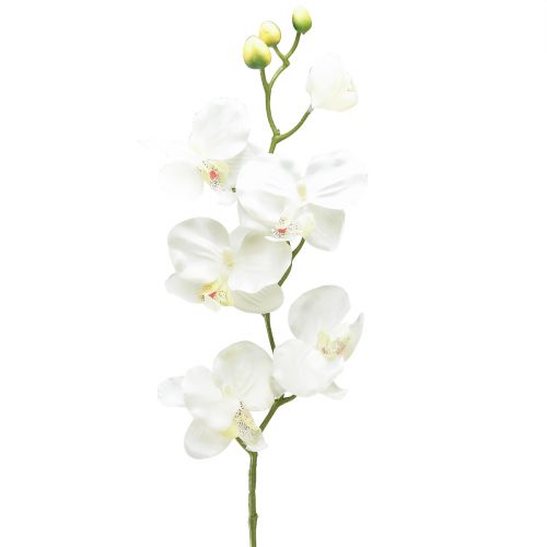 Produkt Storczyk Phalaenopsis sztuczny 6 kwiatów biały kremowy 70cm