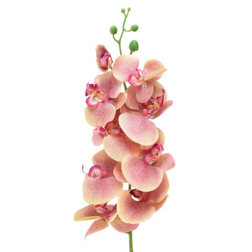 Floristik24 Orchidea Phalaenopsis sztuczna 9 kwiatów różowa wanilia 96cm