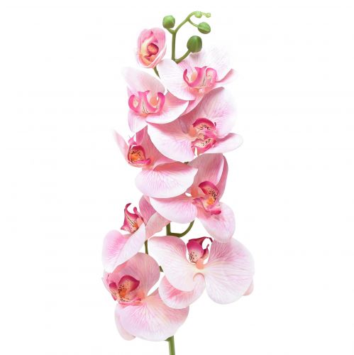 Floristik24 Storczyk Phalaenopsis sztuczny 9 kwiatów różowo-biały 96cm