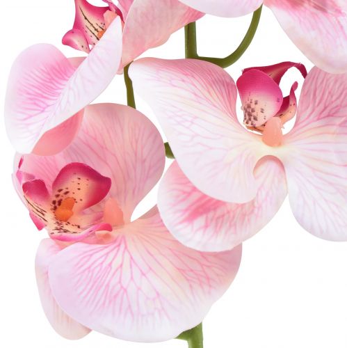 Produkt Storczyk Phalaenopsis sztuczny 9 kwiatów różowo-biały 96cm