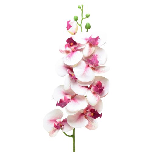 Floristik24 Orchidea Phalaenopsis sztuczna 9 kwiatów biała fuksja 96cm