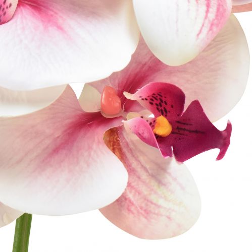 Produkt Orchidea Phalaenopsis sztuczna 9 kwiatów biała fuksja 96cm