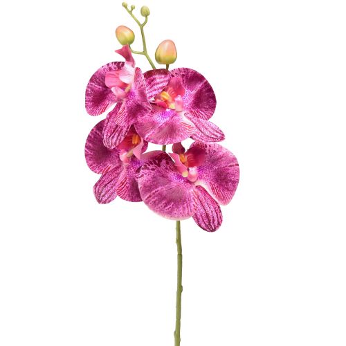 Orchidea płomieniowana sztuczna Phalaenopsis fioletowa 72cm