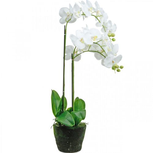 Produkt Sztuczne storczyki do doniczki białe 80cm