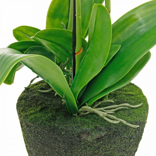 Produkt Sztuczne storczyki do doniczki białe 80cm