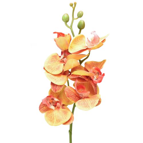 Sztuczna orchidea Phalaenopsis płonąca czerwono-żółta 78cm