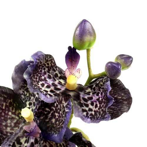 Floristik24 Orchidea Vanda Sztuczna Purpurowa L 44cm