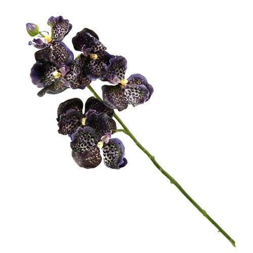 Floristik24 Orchidea Vanda Sztuczna Purpurowa L 44cm