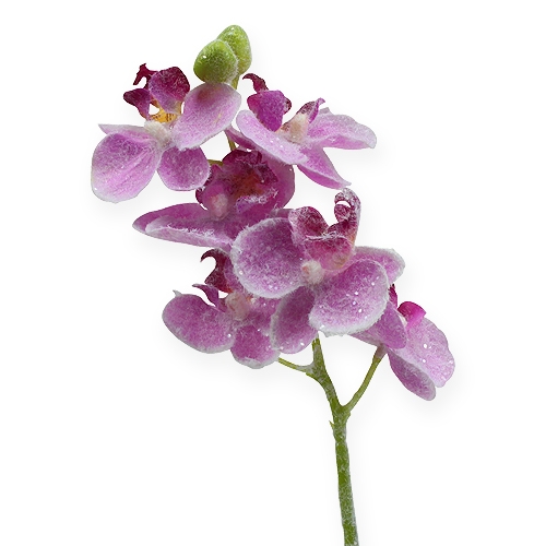 Floristik24 Orchidea z brokatem, różowa 35cm