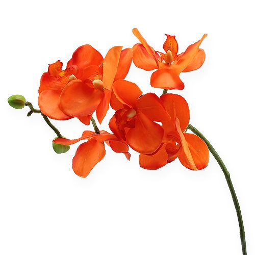 Floristik24 Orchidea Gałązka Pomarańczowa 61cm