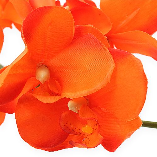 Floristik24 Orchidea Gałązka Pomarańczowa 61cm