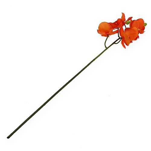 Floristik24 Orchidea Gałązka Pomarańczowa 61cm