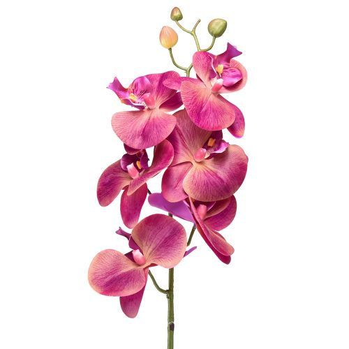 Floristik24 Sztuczna orchidea Phalaenopsis Orchid Fuksja 78cm