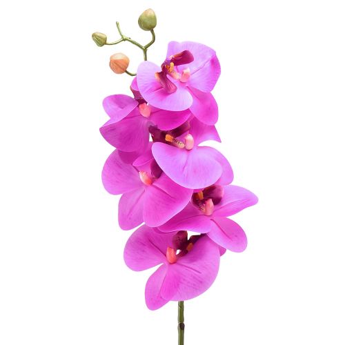 Produkt Sztuczna orchidea Phalaenopsis Orchid Pink 78cm