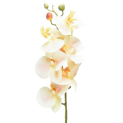 Produkt Sztuczna orchidea kremowa pomarańcza Phalaenopsis 78cm
