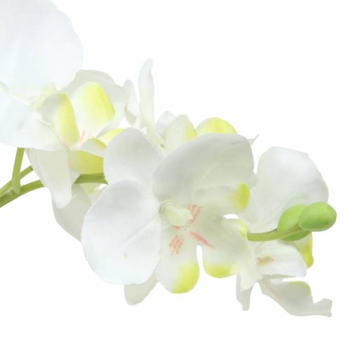 Produkt Orchidee White in Pot Artificial Plant H35cm