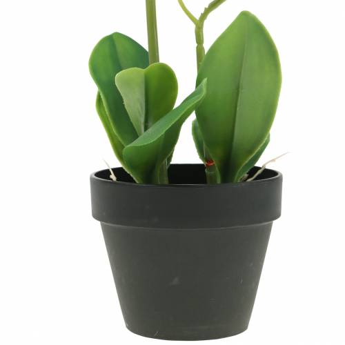 Floristik24 Orchidee White in Pot Artificial Plant H35cm