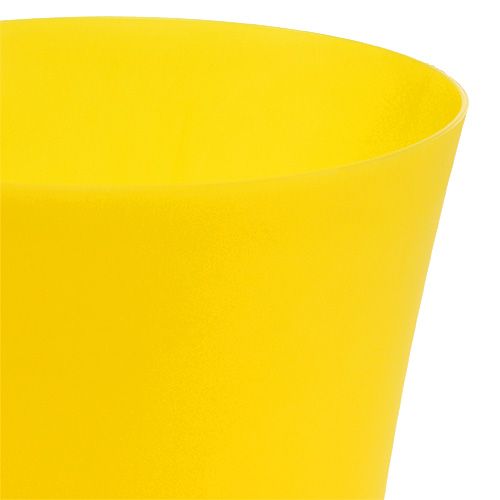 Floristik24 Doniczka do storczyków plastikowa żółta Ø12,5cm H14cm, 1szt.