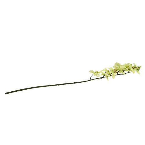 Produkt Gałązka storczyka jasnozielona L58cm
