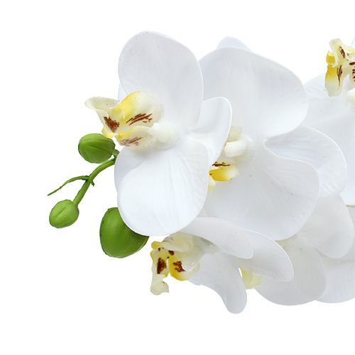 Produkt Gałązka Orchidei Biała L58cm