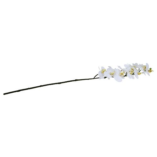 Produkt Gałązka Orchidei Biała L58cm