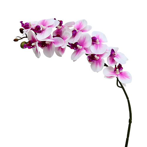 Floristik24 Orchidea Gałązka Biało Różowa L58cm