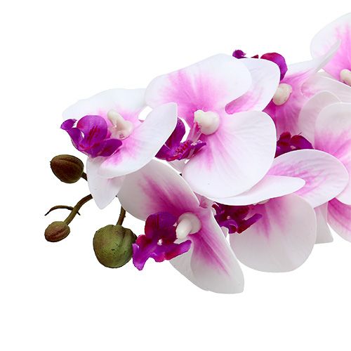 Floristik24 Orchidea Gałązka Biało Różowa L58cm