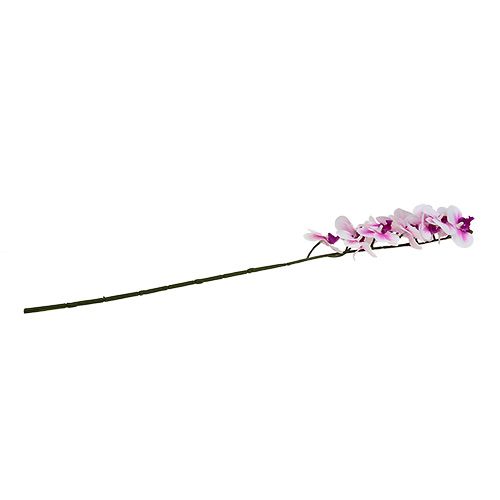 Floristik24 Orchidea Gałązka Biało Różowa L58cm